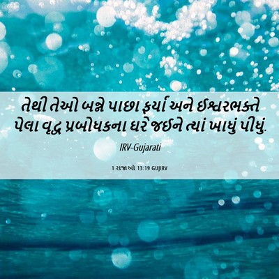Picture 06 - 1 રાજાઓ 13:19 GUJIRV - તેથી તેઓ બન્ને - Bible Verse Picture