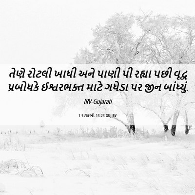 Picture 06 - 1 રાજાઓ 13:23 GUJIRV - તેણે રોટલી ખાધી - Bible Verse Picture
