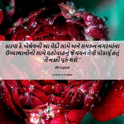 Picture 06 - 1 રાજાઓ 13:32 GUJIRV - કારણ કે, બેથેલની આ - Bible Verse Picture