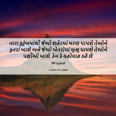 Picture 06 - 1 રાજાઓ 14:11 GUJIRV - તારા કુટુંબમાંથી - Bible Verse Picture