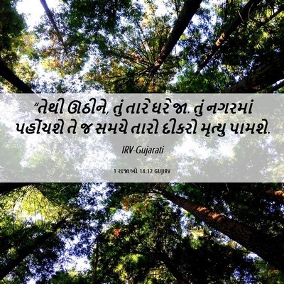 Picture 06 - 1 રાજાઓ 14:12 GUJIRV - “તેથી ઊઠીને, તું - Bible Verse Picture