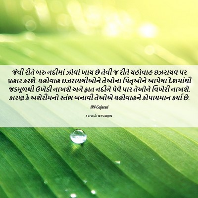 Picture 06 - 1 રાજાઓ 14:15 GUJIRV - જેવી રીતે બરુ - Bible Verse Picture