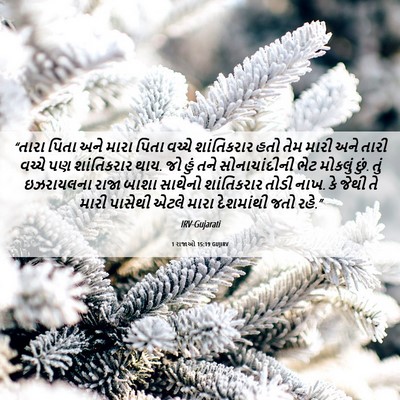 Picture 06 - 1 રાજાઓ 15:19 GUJIRV - “તારા પિતા અને - Bible Verse Picture