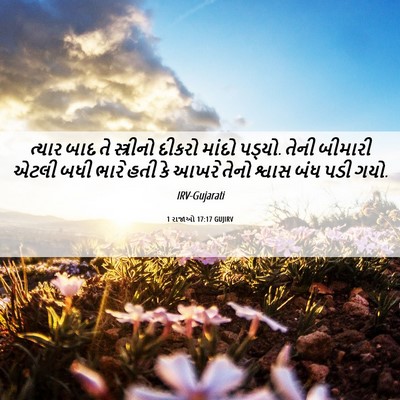 Picture 06 - 1 રાજાઓ 17:17 GUJIRV - ત્યાર બાદ તે - Bible Verse Picture