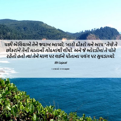 Picture 06 - 1 રાજાઓ 17:19 GUJIRV - પછી એલિયાએ તેને - Bible Verse Picture