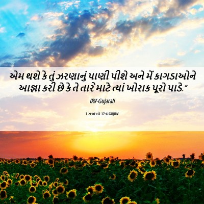 Picture 06 - 1 રાજાઓ 17:4 GUJIRV - એમ થશે કે તું - Bible Verse Picture