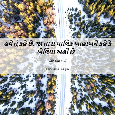 Picture 06 - 1 રાજાઓ 18:11 GUJIRV - હવે તું કહે છે, ‘જા - Bible Verse Picture