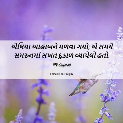 Picture 06 - 1 રાજાઓ 18:2 GUJIRV - એલિયા આહાબને મળવા - Bible Verse Picture