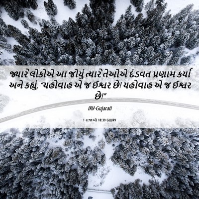 Picture 06 - 1 રાજાઓ 18:39 GUJIRV - જ્યારે લોકોએ આ - Bible Verse Picture