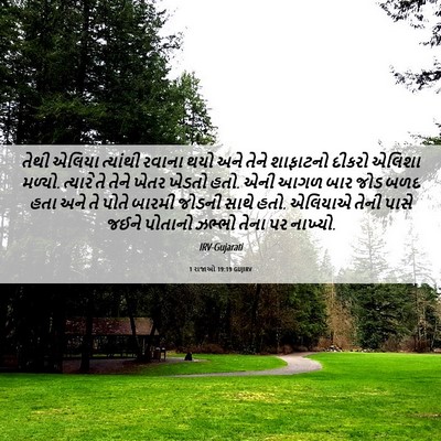 Picture 06 - 1 રાજાઓ 19:19 GUJIRV - તેથી એલિયા - Bible Verse Picture