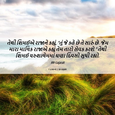 Picture 06 - 1 રાજાઓ 2:38 GUJIRV - તેથી શિમઈએ રાજાને - Bible Verse Picture
