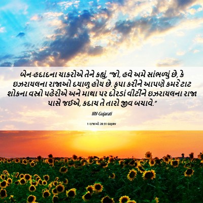 Picture 06 - 1 રાજાઓ 20:31 GUJIRV - બેન-હદાદના ચાકરોએ - Bible Verse Picture