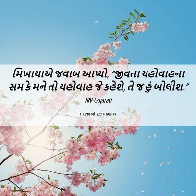 Picture 06 - 1 રાજાઓ 22:14 GUJIRV - મિખાયાએ જવાબ - Bible Verse Picture