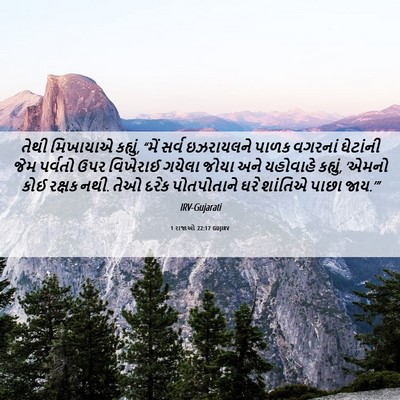Picture 06 - 1 રાજાઓ 22:17 GUJIRV - તેથી મિખાયાએ - Bible Verse Picture