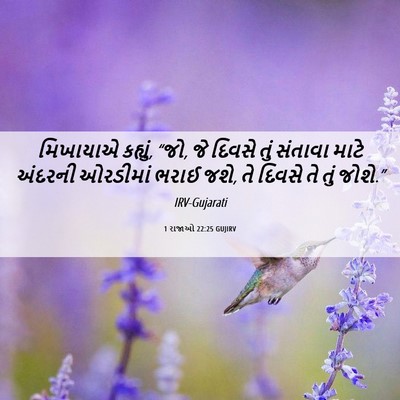 Picture 06 - 1 રાજાઓ 22:25 GUJIRV - મિખાયાએ કહ્યું, - Bible Verse Picture