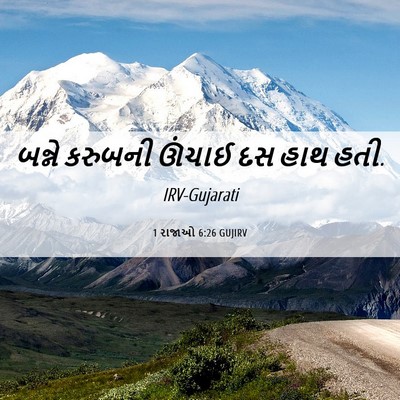 Picture 06 - 1 રાજાઓ 6:26 GUJIRV - બન્ને કરુબની - Bible Verse Picture