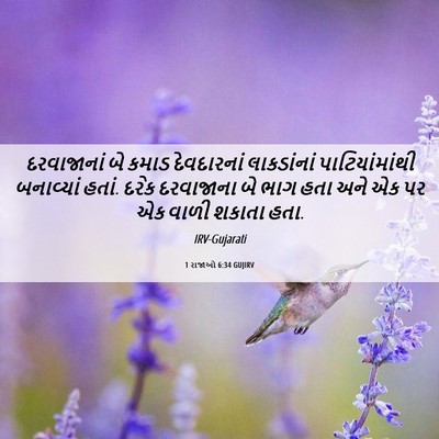 Picture 06 - 1 રાજાઓ 6:34 GUJIRV - દરવાજાનાં બે કમાડ - Bible Verse Picture