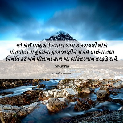 Picture 06 - 1 રાજાઓ 8:38 GUJIRV - જો કોઈ માણસ કે - Bible Verse Picture