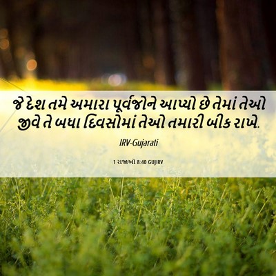 Picture 06 - 1 રાજાઓ 8:40 GUJIRV - જે દેશ તમે અમારા - Bible Verse Picture