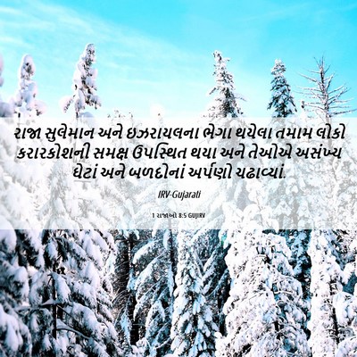 Picture 06 - 1 રાજાઓ 8:5 GUJIRV - રાજા સુલેમાન અને - Bible Verse Picture