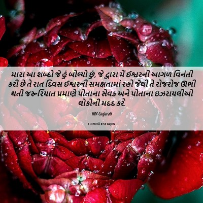 Picture 06 - 1 રાજાઓ 8:59 GUJIRV - મારા આ શબ્દો જે હું - Bible Verse Picture