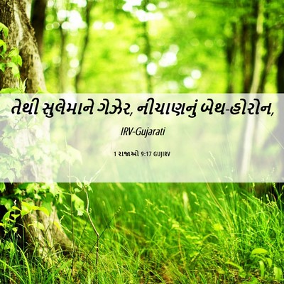 Picture 06 - 1 રાજાઓ 9:17 GUJIRV - તેથી સુલેમાને - Bible Verse Picture