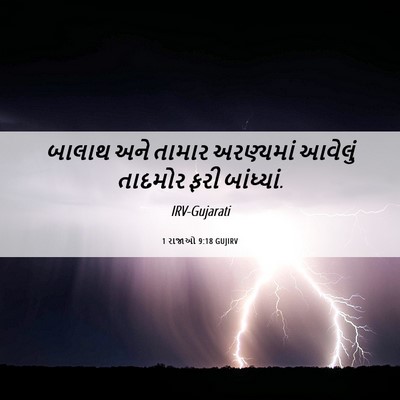 Picture 06 - 1 રાજાઓ 9:18 GUJIRV - બાલાથ અને તામાર - Bible Verse Picture