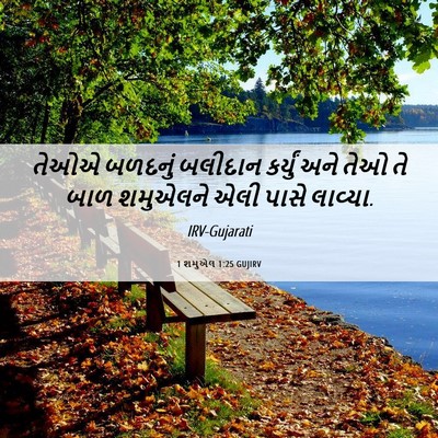 Picture 06 - 1 શમુએલ 1:25 GUJIRV - તેઓએ બળદનું - Bible Verse Picture