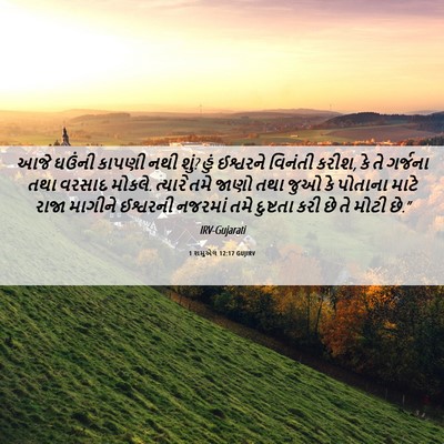 Picture 06 - 1 શમુએલ 12:17 GUJIRV - આજે ઘઉંની કાપણી - Bible Verse Picture