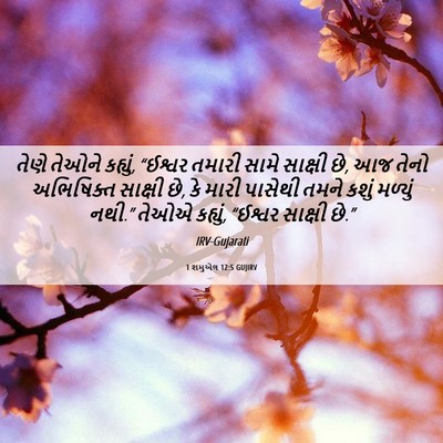 Picture 06 - 1 શમુએલ 12:5 GUJIRV - તેણે તેઓને કહ્યું, - Bible Verse Picture