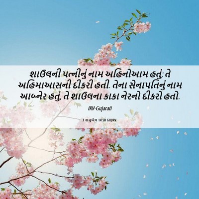 Picture 06 - 1 શમુએલ 14:50 GUJIRV - શાઉલની પત્નીનું - Bible Verse Picture