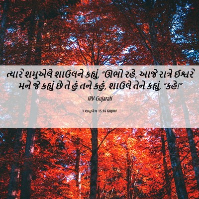 Picture 06 - 1 શમુએલ 15:16 GUJIRV - ત્યારે શમુએલે - Bible Verse Picture
