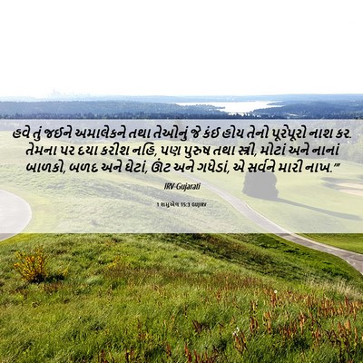Picture 06 - 1 શમુએલ 15:3 GUJIRV - હવે તું જઈને - Bible Verse Picture