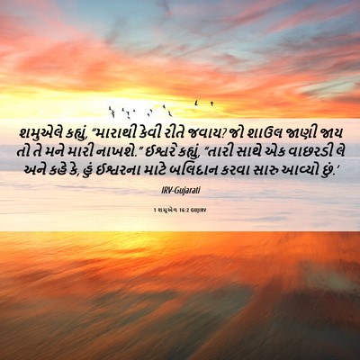 Picture 06 - 1 શમુએલ 16:2 GUJIRV - શમુએલે કહ્યું, - Bible Verse Picture