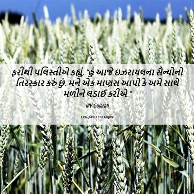 Picture 06 - 1 શમુએલ 17:10 GUJIRV - ફરીથી પલિસ્તીએ - Bible Verse Picture