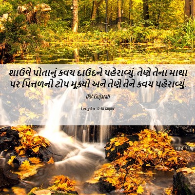 Picture 06 - 1 શમુએલ 17:38 GUJIRV - શાઉલે પોતાનું કવચ - Bible Verse Picture
