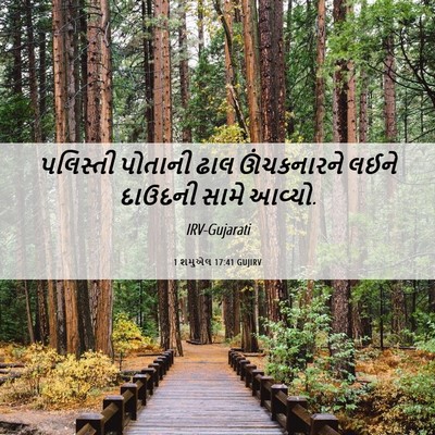 Picture 06 - 1 શમુએલ 17:41 GUJIRV - પલિસ્તી પોતાની - Bible Verse Picture