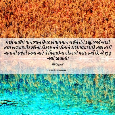 Picture 06 - 1 શમુએલ 20:30 GUJIRV - પછી શાઉલે યોનાથાન - Bible Verse Picture