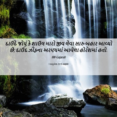 Picture 06 - 1 શમુએલ 23:15 GUJIRV - દાઉદે જોયું કે - Bible Verse Picture