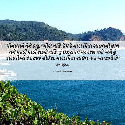 Picture 06 - 1 શમુએલ 23:17 GUJIRV - યોનાથાને તેને - Bible Verse Picture