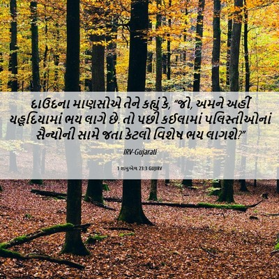 Picture 06 - 1 શમુએલ 23:3 GUJIRV - દાઉદના માણસોએ - Bible Verse Picture