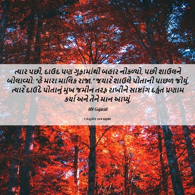 Picture 06 - 1 શમુએલ 24:8 GUJIRV - ત્યાર પછી, દાઉદ પણ - Bible Verse Picture