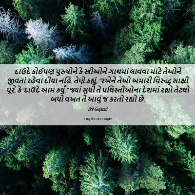 Picture 06 - 1 શમુએલ 27:11 GUJIRV - દાઉદે કોઈપણ - Bible Verse Picture