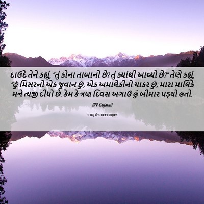 Picture 06 - 1 શમુએલ 30:13 GUJIRV - દાઉદે તેને કહ્યું, - Bible Verse Picture