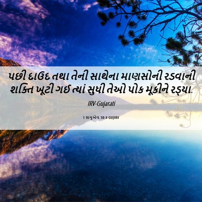 Picture 06 - 1 શમુએલ 30:4 GUJIRV - પછી દાઉદ તથા તેની - Bible Verse Picture