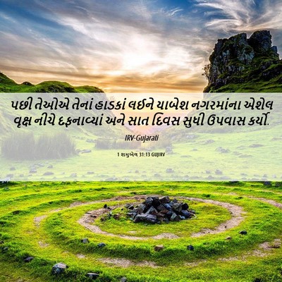 Picture 06 - 1 શમુએલ 31:13 GUJIRV - પછી તેઓએ તેનાં - Bible Verse Picture