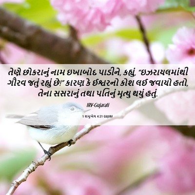 Picture 06 - 1 શમુએલ 4:21 GUJIRV - તેણે છોકરાનું નામ - Bible Verse Picture