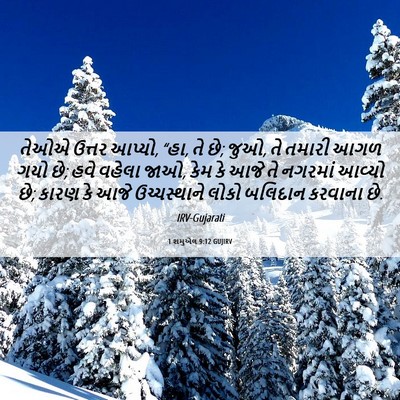 Picture 06 - 1 શમુએલ 9:12 GUJIRV - તેઓએ ઉત્તર આપ્યો, - Bible Verse Picture