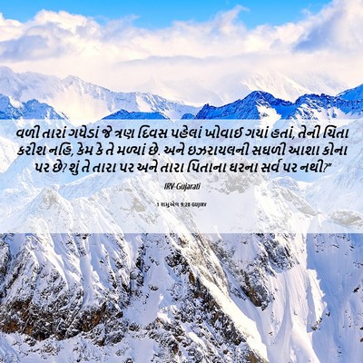 Picture 06 - 1 શમુએલ 9:20 GUJIRV - વળી તારાં ગધેડાં - Bible Verse Picture