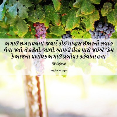 Picture 06 - 1 શમુએલ 9:9 GUJIRV - અગાઉ ઇઝરાયલમાં, - Bible Verse Picture